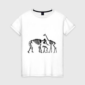 Женская футболка хлопок с принтом Зоорентген в Кировске, 100% хлопок | прямой крой, круглый вырез горловины, длина до линии бедер, слегка спущенное плечо | животные | зоорентген | кости | прикольные картинки | рентген