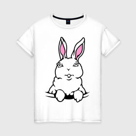 Женская футболка хлопок с принтом Зайчик в кармашке в Кировске, 100% хлопок | прямой крой, круглый вырез горловины, длина до линии бедер, слегка спущенное плечо | белый кролик | животные | зайка | зайчик в кармашке | кролик