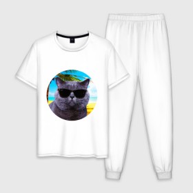 Мужская пижама хлопок с принтом Котэ на пляже в Кировске, 100% хлопок | брюки и футболка прямого кроя, без карманов, на брюках мягкая резинка на поясе и по низу штанин
 | кот | котэ | лето | мем | очки | пальма | пляж | солнце