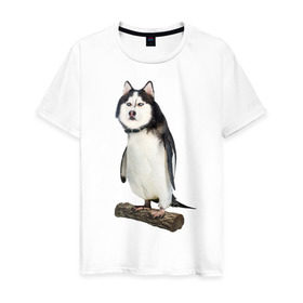 Мужская футболка хлопок с принтом Хаскогвин в Кировске, 100% хлопок | прямой крой, круглый вырез горловины, длина до линии бедер, слегка спущенное плечо. | пингвин