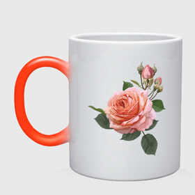 Кружка хамелеон с принтом Розовая роза в Кировске, керамика | меняет цвет при нагревании, емкость 330 мл | девушкам | розовая роза | цветок