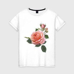 Женская футболка хлопок с принтом Розовая роза в Кировске, 100% хлопок | прямой крой, круглый вырез горловины, длина до линии бедер, слегка спущенное плечо | девушкам | розовая роза | цветок