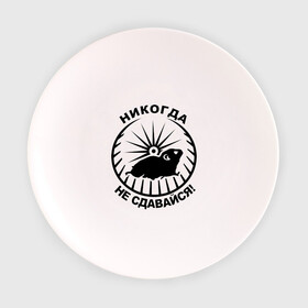 Тарелка 3D с принтом Хомяк в колесе в Кировске, фарфор | диаметр - 210 мм
диаметр для нанесения принта - 120 мм | колесо | не сдавайся | никогда | хомяк
