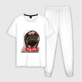 Мужская пижама хлопок с принтом Pug life в Кировске, 100% хлопок | брюки и футболка прямого кроя, без карманов, на брюках мягкая резинка на поясе и по низу штанин
 | Тематика изображения на принте: pug life | жизнь | капюшон | мопс | собака