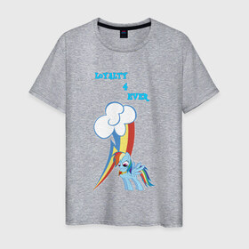 Мужская футболка хлопок с принтом Rainbow Dash Loyalty в Кировске, 100% хлопок | прямой крой, круглый вырез горловины, длина до линии бедер, слегка спущенное плечо. | Тематика изображения на принте: 