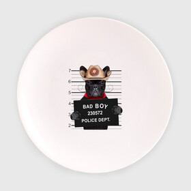 Тарелка с принтом Bad boy в Кировске, фарфор | диаметр - 210 мм
диаметр для нанесения принта - 120 мм | bad | dog | собака
