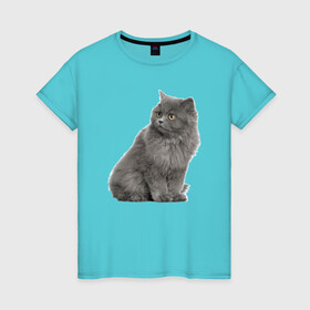 Женская футболка хлопок с принтом Кот в Кировске, 100% хлопок | прямой крой, круглый вырез горловины, длина до линии бедер, слегка спущенное плечо | kisa | kotik | кот | котенок | кошка