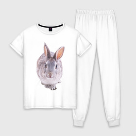 Женская пижама хлопок с принтом Кролик в Кировске, 100% хлопок | брюки и футболка прямого кроя, без карманов, на брюках мягкая резинка на поясе и по низу штанин | заяц | кролик | крольчёнок | крольчишка