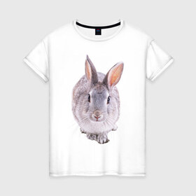 Женская футболка хлопок с принтом Кролик в Кировске, 100% хлопок | прямой крой, круглый вырез горловины, длина до линии бедер, слегка спущенное плечо | заяц | кролик | крольчёнок | крольчишка
