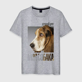 Мужская футболка хлопок с принтом Бассет-хаунд в Кировске, 100% хлопок | прямой крой, круглый вырез горловины, длина до линии бедер, слегка спущенное плечо. | drug | бассет хаунд | порода | собака