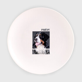 Тарелка с принтом Бернский зенненхунд в Кировске, фарфор | диаметр - 210 мм
диаметр для нанесения принта - 120 мм | drug | бернский зенненхунд | порода | собака