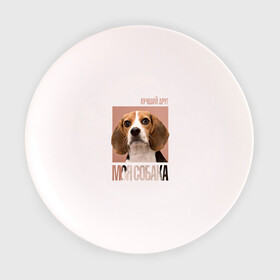 Тарелка 3D с принтом Бигль в Кировске, фарфор | диаметр - 210 мм
диаметр для нанесения принта - 120 мм | drug | бигль | порода | собака