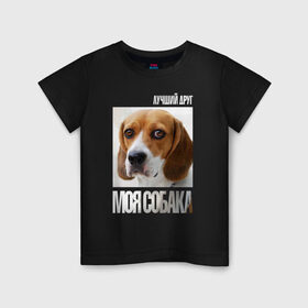 Детская футболка хлопок с принтом Бигль в Кировске, 100% хлопок | круглый вырез горловины, полуприлегающий силуэт, длина до линии бедер | drug | бигль | порода | собака