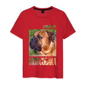 Мужская футболка хлопок с принтом Бульмастиф в Кировске, 100% хлопок | прямой крой, круглый вырез горловины, длина до линии бедер, слегка спущенное плечо. | drug | бульмастиф | порода | собака