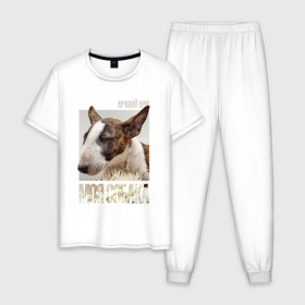 Мужская пижама хлопок с принтом Бультерьер в Кировске, 100% хлопок | брюки и футболка прямого кроя, без карманов, на брюках мягкая резинка на поясе и по низу штанин
 | drug | порода | собака