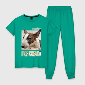Женская пижама хлопок с принтом Бультерьер в Кировске, 100% хлопок | брюки и футболка прямого кроя, без карманов, на брюках мягкая резинка на поясе и по низу штанин | drug | порода | собака