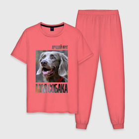 Мужская пижама хлопок с принтом Веймаранер в Кировске, 100% хлопок | брюки и футболка прямого кроя, без карманов, на брюках мягкая резинка на поясе и по низу штанин
 | Тематика изображения на принте: drug | веймаранер | порода | собака
