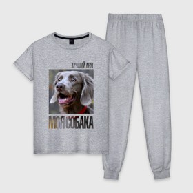 Женская пижама хлопок с принтом Веймаранер в Кировске, 100% хлопок | брюки и футболка прямого кроя, без карманов, на брюках мягкая резинка на поясе и по низу штанин | Тематика изображения на принте: drug | веймаранер | порода | собака
