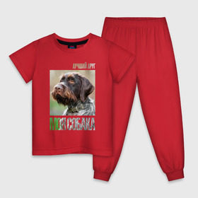 Детская пижама хлопок с принтом Дратхаар, лучший, друг, собака в Кировске, 100% хлопок |  брюки и футболка прямого кроя, без карманов, на брюках мягкая резинка на поясе и по низу штанин
 | drug | дратхаар | порода | собака