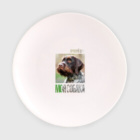 Тарелка с принтом Дратхаар, лучший, друг, собака в Кировске, фарфор | диаметр - 210 мм
диаметр для нанесения принта - 120 мм | Тематика изображения на принте: drug | дратхаар | порода | собака