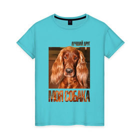Женская футболка хлопок с принтом Ирландский сеттер в Кировске, 100% хлопок | прямой крой, круглый вырез горловины, длина до линии бедер, слегка спущенное плечо | drug | ирландский сеттер | порода | собака