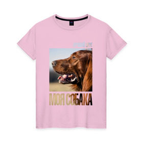 Женская футболка хлопок с принтом Ирландский сеттер в Кировске, 100% хлопок | прямой крой, круглый вырез горловины, длина до линии бедер, слегка спущенное плечо | drug | ирландский сеттер | порода | собака