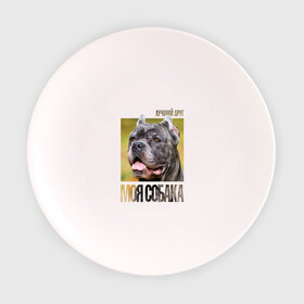 Тарелка с принтом Канне корсо в Кировске, фарфор | диаметр - 210 мм
диаметр для нанесения принта - 120 мм | drug | канне корсо | порода | собака