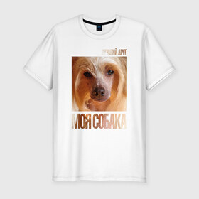 Мужская футболка премиум с принтом Китайская хохлатая собака в Кировске, 92% хлопок, 8% лайкра | приталенный силуэт, круглый вырез ворота, длина до линии бедра, короткий рукав | китайская хохлатая собака | порода | собака
