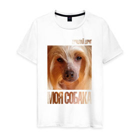 Мужская футболка хлопок с принтом Китайская хохлатая собака в Кировске, 100% хлопок | прямой крой, круглый вырез горловины, длина до линии бедер, слегка спущенное плечо. | китайская хохлатая собака | порода | собака