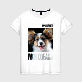 Женская футболка хлопок с принтом Папийон в Кировске, 100% хлопок | прямой крой, круглый вырез горловины, длина до линии бедер, слегка спущенное плечо | drug | папийон | порода | собака