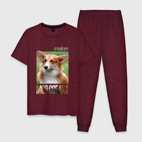 Мужская пижама хлопок с принтом Вельш-корги-пемброк в Кировске, 100% хлопок | брюки и футболка прямого кроя, без карманов, на брюках мягкая резинка на поясе и по низу штанин
 | Тематика изображения на принте: drug | вельш корги пемброк | порода | собака