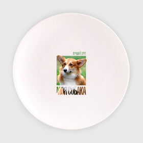 Тарелка с принтом Вельш-корги-пемброк в Кировске, фарфор | диаметр - 210 мм
диаметр для нанесения принта - 120 мм | drug | вельш корги пемброк | порода | собака