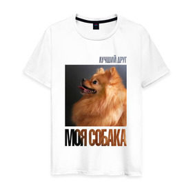 Мужская футболка хлопок с принтом Померанский шпиц в Кировске, 100% хлопок | прямой крой, круглый вырез горловины, длина до линии бедер, слегка спущенное плечо. | drug | померанский шпиц | порода | собака