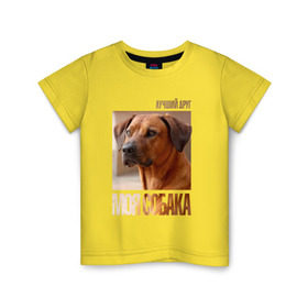 Детская футболка хлопок с принтом Родезийский риджбек в Кировске, 100% хлопок | круглый вырез горловины, полуприлегающий силуэт, длина до линии бедер | drug | порода | родезийский риджбек | собака