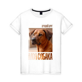 Женская футболка хлопок с принтом Родезийский риджбек в Кировске, 100% хлопок | прямой крой, круглый вырез горловины, длина до линии бедер, слегка спущенное плечо | drug | порода | родезийский риджбек | собака