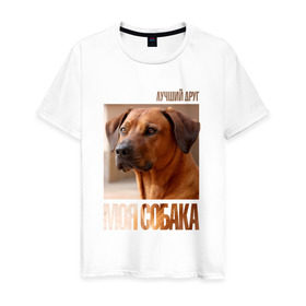 Мужская футболка хлопок с принтом Родезийский риджбек в Кировске, 100% хлопок | прямой крой, круглый вырез горловины, длина до линии бедер, слегка спущенное плечо. | drug | порода | родезийский риджбек | собака