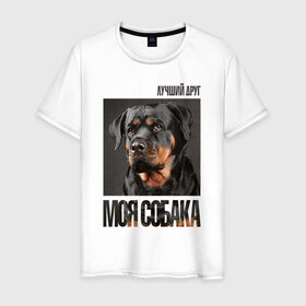 Мужская футболка хлопок с принтом Ротвейлер в Кировске, 100% хлопок | прямой крой, круглый вырез горловины, длина до линии бедер, слегка спущенное плечо. | drug | порода | собака