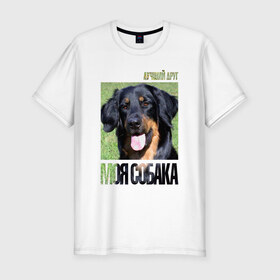 Мужская футболка премиум с принтом Ховаварт в Кировске, 92% хлопок, 8% лайкра | приталенный силуэт, круглый вырез ворота, длина до линии бедра, короткий рукав | drug | порода | собака | ховаварт