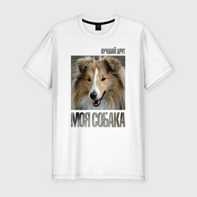 Мужская футболка премиум с принтом Шелти в Кировске, 92% хлопок, 8% лайкра | приталенный силуэт, круглый вырез ворота, длина до линии бедра, короткий рукав | drug | порода | собака | шелти