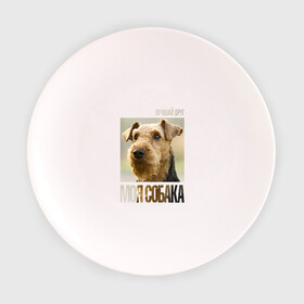 Тарелка с принтом Эрдельтерьер в Кировске, фарфор | диаметр - 210 мм
диаметр для нанесения принта - 120 мм | drug | порода | собака | эрдельтерьер
