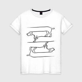 Женская футболка хлопок с принтом Собака в Кировске, 100% хлопок | прямой крой, круглый вырез горловины, длина до линии бедер, слегка спущенное плечо | восприятие | иллюзия | оптическая иллюзия | собака