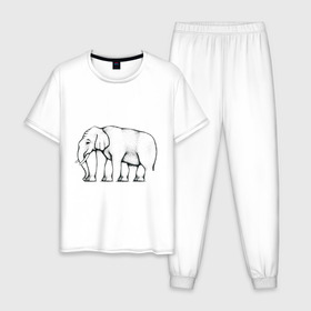 Мужская пижама хлопок с принтом Сколько ног у слона в Кировске, 100% хлопок | брюки и футболка прямого кроя, без карманов, на брюках мягкая резинка на поясе и по низу штанин
 | Тематика изображения на принте: слон