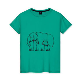 Женская футболка хлопок с принтом Сколько ног у слона в Кировске, 100% хлопок | прямой крой, круглый вырез горловины, длина до линии бедер, слегка спущенное плечо | слон