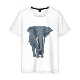 Мужская футболка хлопок с принтом Слон в Кировске, 100% хлопок | прямой крой, круглый вырез горловины, длина до линии бедер, слегка спущенное плечо. | 