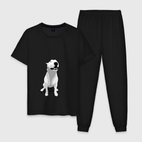Мужская пижама хлопок с принтом Бультерьер в Кировске, 100% хлопок | брюки и футболка прямого кроя, без карманов, на брюках мягкая резинка на поясе и по низу штанин
 | пес | собака