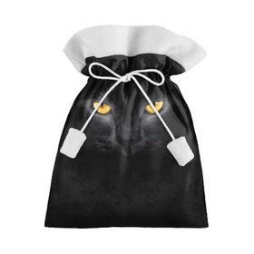 Подарочный 3D мешок с принтом Черная кошка в Кировске, 100% полиэстер | Размер: 29*39 см | Тематика изображения на принте: глаза | киса | кот | котик | кошка | черная кошка