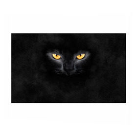 Бумага для упаковки 3D с принтом Черная кошка в Кировске, пластик и полированная сталь | круглая форма, металлическое крепление в виде кольца | Тематика изображения на принте: глаза | киса | кот | котик | кошка | черная кошка