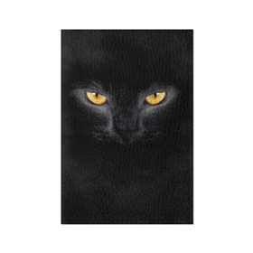 Обложка для паспорта матовая кожа с принтом Черная кошка в Кировске, натуральная матовая кожа | размер 19,3 х 13,7 см; прозрачные пластиковые крепления | глаза | киса | кот | котик | кошка | черная кошка