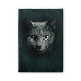 Обложка для автодокументов с принтом Серый кот в Кировске, натуральная кожа |  размер 19,9*13 см; внутри 4 больших “конверта” для документов и один маленький отдел — туда идеально встанут права | киса | кот | котик | кошка | серый кот
