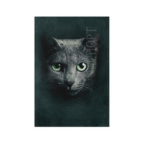 Обложка для паспорта матовая кожа с принтом Серый кот в Кировске, натуральная матовая кожа | размер 19,3 х 13,7 см; прозрачные пластиковые крепления | киса | кот | котик | кошка | серый кот